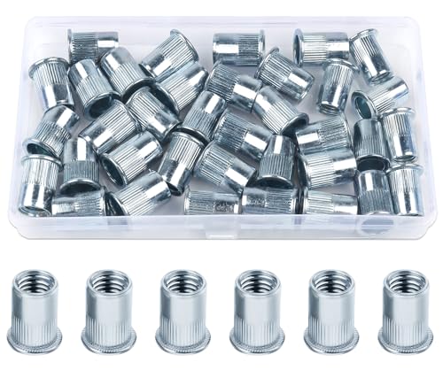 30 Stück Nietmuttern M12, Jeboler Blindnietmuttern M8 Flachkopf Einziehmuttern Gewindenieten, Verzinkt Stahl Hülsenmutter Rivet Nutsert Gewindehülse für Metallplatten Rohre usw. 30 Stück Nietmuttern M12, Jeboler Blindnietmuttern M8 Flachkopf Einziehmuttern Gewindenieten, Verzinkt Stahl Hülsenmutter Rivet Nutsert Gewindehülse für Metallplatten Rohre usw. von Jeboler