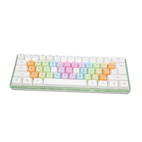 Jectse Mechanische Tastatur mit 61 Tasten, 9 RGB-Hintergrundbeleuchtung, Tragbar, 60% Mechanische Gaming-Tastatur, Bunte Tastenkappen, Typ C-Kabel, Kabelgebundene, Kompakte PC-Tastatur (Weiss) von Jectse