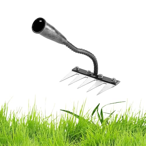 Gardenia Iron Weeding Rake, Iron Rake for Gardening and Weeding, Detachable Gardening Hand Weeder Puller Tool (5 Teeth) von Jeeeun
