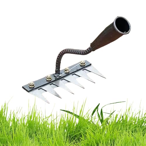 Gardenia Iron Weeding Rake, Iron Rake for Gardening and Weeding, Detachable Gardening Hand Weeder Puller Tool (6 Teeth) von Jeeeun