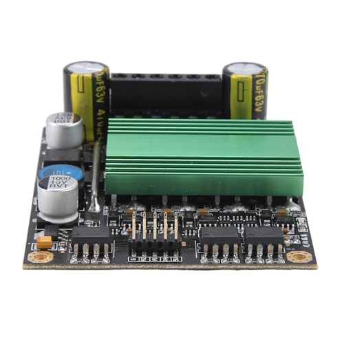 Jeenuuder DC 12V-48V 100A Hochleistungs-Zweikanal-DC-Motorantriebsmodulplatine Optokoppler-Isolation H-Brücke Reglersteuerung von Jeenuuder
