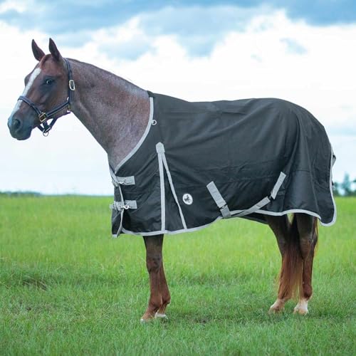 Jeffers Economy Pferdedecke mit Standard-Halsband, 600 Denier, 0 g, Polyfill, 224 cm, wasserdicht, leicht, für Pferde, stabil, Scheune, Weide, Reisen, verstellbare Passform, Schwarzgrau Jeffers Economy Pferdedecke mit Standard-Halsband, 600 Denier, 0 g, Polyfill, 224 cm, wasserdicht, leicht, für Pferde, stabil, Scheune, Weide, Reisen, verstellbare Passform, Schwarzgrau von Jeffers