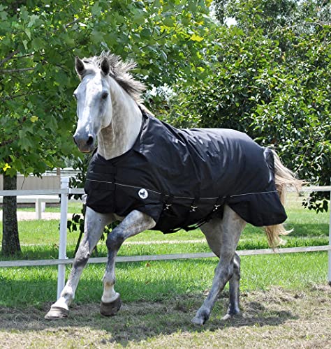 Jeffers Equine Supreme Plus Pferdedecke, schwarz, 205,7 cm, mittelschwer, 1680D wasserdicht, 240 g Isolierung, sicher, atmungsaktiv, Wetterschutz, verstellbare Gurtbänder, reflektierender Rand Jeffers Equine Supreme Plus Pferdedecke, schwarz, 205,7 cm, mittelschwer, 1680D wasserdicht, 240 g Isolierung, sicher, atmungsaktiv, Wetterschutz, verstellbare Gurtbänder, reflektierender Rand von Jeffers