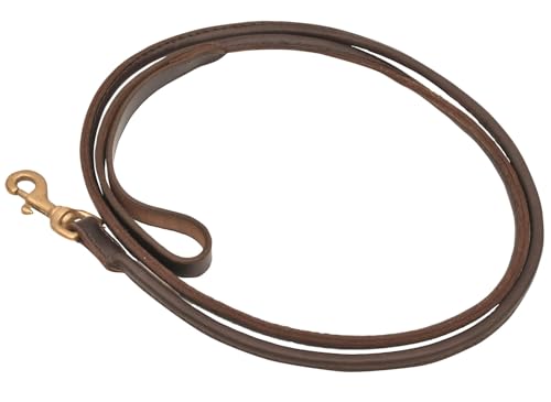 Jeffers Hundeleine aus gerolltem Leder mit Messingbeschlägen, Kastanienbraun mit Handschlaufe, strapazierfähige Hundeleine für mittelgroße und große Hunde, Spaziergänge und Training im Freien, 2,5 cm Jeffers Hundeleine aus gerolltem Leder mit Messingbeschlägen, Kastanienbraun mit Handschlaufe, strapazierfähige Hundeleine für mittelgroße und große Hunde, Spaziergänge und Training im Freien, 2,5 cm von Jeffers
