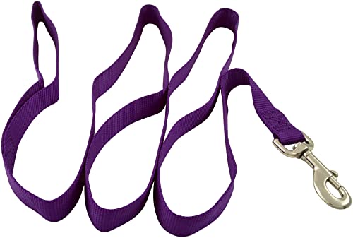 Jeffers Hundeleine für Haustiere, 2,5 cm x 1,2 m, robuste Nylonleine für kleine, mittelgroße und große Hunde, Trainingsleine für Haustiere, langlebiger Sicherheitsgurt für Outdoor, Innenbereich, Kiste Jeffers Hundeleine für Haustiere, 2,5 cm x 1,2 m, robuste Nylonleine für kleine, mittelgroße und große Hunde, Trainingsleine für Haustiere, langlebiger Sicherheitsgurt für Outdoor, Innenbereich, Kiste von Jeffers