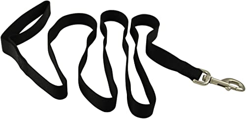 Jeffers Hundeleine für Haustiere, 2,5 cm x 1,2 m, robuste Nylonleine für kleine, mittelgroße und große Hunde, Trainingsleine für Haustiere, langlebiger Sicherheitsgurt für Outdoor, Innenbereich, Kiste Jeffers Hundeleine für Haustiere, 2,5 cm x 1,2 m, robuste Nylonleine für kleine, mittelgroße und große Hunde, Trainingsleine für Haustiere, langlebiger Sicherheitsgurt für Outdoor, Innenbereich, Kiste von Jeffers