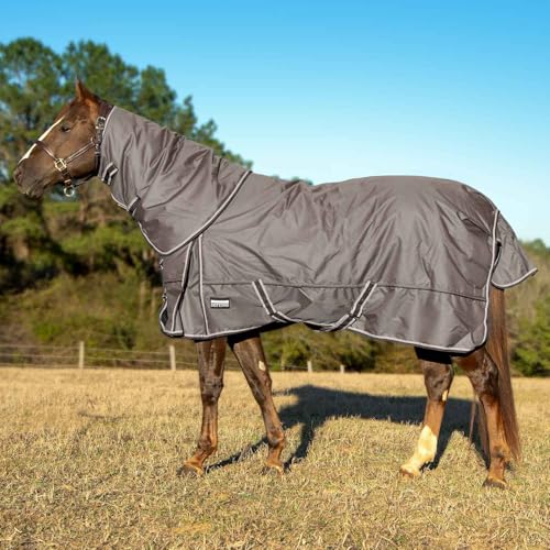 Jeffers Pappel Head Defense Pferdedecke mit abnehmbarem Hals, 1680 Denier, 190,5 cm, wasserdicht, atmungsaktiv, 360 g Polyfill, idealer Schutz für den Winter, schwer Jeffers Pappel Head Defense Pferdedecke mit abnehmbarem Hals, 1680 Denier, 190,5 cm, wasserdicht, atmungsaktiv, 360 g Polyfill, idealer Schutz für den Winter, schwer von Jeffers