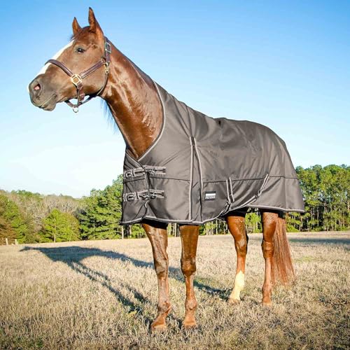 Jeffers Pappel Head Defense Pferdedecke mit verlängertem Hals, 1680 Denier, Plymouth Brown 213,4 cm - 240 g Polyfill, wasserdicht, atmungsaktiv, idealer Schutz für den Winter, mittelschwer Jeffers Pappel Head Defense Pferdedecke mit verlängertem Hals, 1680 Denier, Plymouth Brown 213,4 cm - 240 g Polyfill, wasserdicht, atmungsaktiv, idealer Schutz für den Winter, mittelschwer von Jeffers
