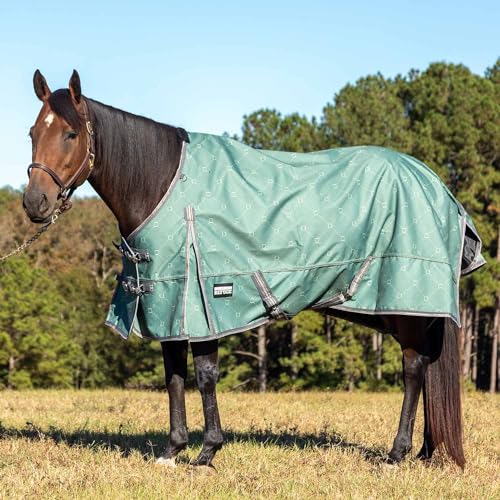 Jeffers Pappelkopf Uniquely English Weidedecke, 1200 Denier, 240 g, Fichtensteigbügeleisen, 213,4 cm Jeffers Pappelkopf Uniquely English Weidedecke, 1200 Denier, 240 g, Fichtensteigbügeleisen, 213,4 cm von Jeffers