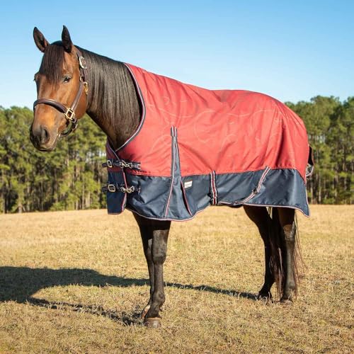 Jeffers Pappelkopf einzigartige englische Weidedecke mit hohem Hals, 1200 Denier, 240 g, Merlot Trensen und Eisen, 175,3 cm Jeffers Pappelkopf einzigartige englische Weidedecke mit hohem Hals, 1200 Denier, 240 g, Merlot Trensen und Eisen, 175,3 cm von Jeffers