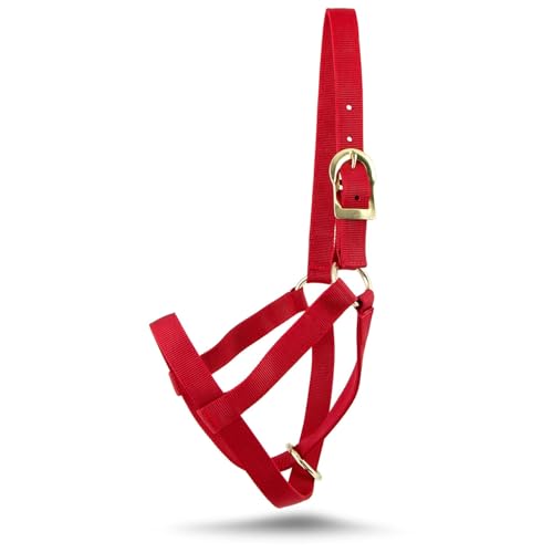 Jeffers Viehhalfter aus Nylon für mittelgroße Jährlinge (204 - 340 kg) – strapazierfähiges, 2-lagiges, verstellbares Rinderhalfter, langlebige Bauernhof- und Ranchausrüstung für Viehhandhabung von Jeffers