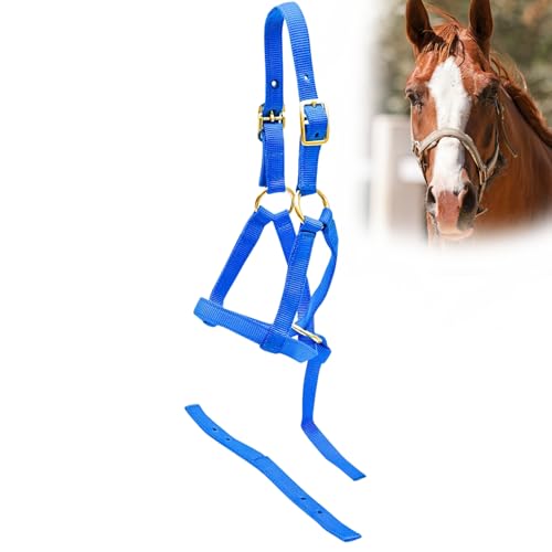 Jeffers Weanling-Halfter für Fohlen, Ponys, Miniaturpferde, verstellbar, 2-lagig, 1,9 cm Gurtband mit vermessingten Beschlägen, leicht für Training, Fellpflege und Bauernhof, Königsblau Jeffers Weanling-Halfter für Fohlen, Ponys, Miniaturpferde, verstellbar, 2-lagig, 1,9 cm Gurtband mit vermessingten Beschlägen, leicht für Training, Fellpflege und Bauernhof, Königsblau von Jeffers