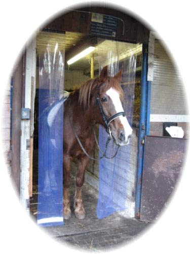 Stallvorhang PVC Blau transparent Lamellenvorhang Bausatz (1,25 m x 2,50 m) von Jehaplast