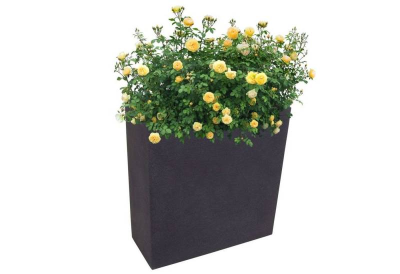 Jelenia Plast Hochbeet Pflanzkasten anthrazit Blumenkasten Hochbeet Terrasse Sichtschutz 59,5 von Jelenia Plast