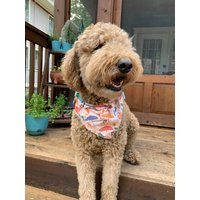strand Tag Hundehalstuch von JenCarttarStudio