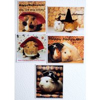 Angriff Der Blutrünstigen Guinea Pig Vampire Halloween Magnet Set - Hexen Braut Bräutigam Vampire Piraten von JenKlimas