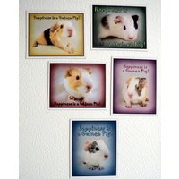 Glück Ist Ein Guinea Pig 5Pc Magnet Set "Baby Cavies" von JenKlimas