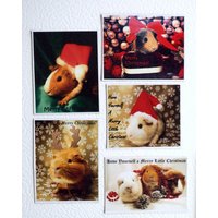 Haben Sie Sich Ein Frohes Kleines Weihnachten - Guinea Pig Neuheit Magnet Urlaub Geschenk-Set 5Pc Kris Kringle Geheime Santa Idee Einzigartig von JenKlimas