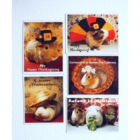 Meerschweinchen Cornucopia Von Cuteness Glücklich Thanksgiving Magnet Geschenk-Set - Cavy Türkei Pilger & Mehr von JenKlimas
