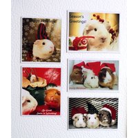 Season's Greetings Meerschweinchen Weihnachten Magnet Geschenk-Set - Einzigartige Handgemachte Geheime Santa Idee 5 Magnete Season's Greetings Meerschweinchen Weihnachten Magnet Geschenk-Set - Einzigartige Handgemachte Geheime Santa Idee 5 Magnete von JenKlimas