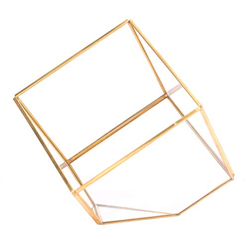 Jenngaoo Geometrisches Mini Terrarium Glas, 6 Zoll Goldrand Geometrisches Glas Pflanzenpflanzgefäß Glasblumentopf Sukkulentenbehälter Miniatur Gartenbehälter von Jenngaoo