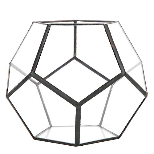 Jenngaoo Geometric Glas Terrarium, 7 Zoll Blumentopf Handmade, Clear Planter Tischplatte Terrarium Pflanzenhalter Display Box für saftige Miniatur Fairy Garden Blumentopf (Keine Pflanzen) von Jenngaoo