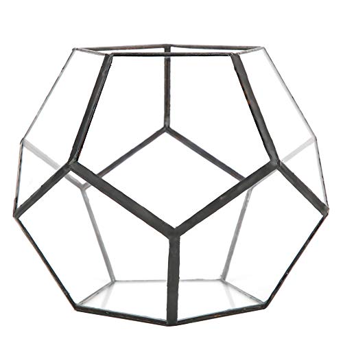 Jenngaoo Blumentopf Handmade, 7 '' Glas Geometric Terrarium, Clear Planter Tischplatte Moderne Luft Pflanzenhalter Display Box für saftige Miniatur Fairy Garden Blumentopf (Keine Pflanzen) von Jenngaoo