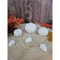 Deko Kürbisse Raysin Weiß, Herbst, 3Er Set Deko Kürbisse Raysin Weiß, Herbst, 3Er Set von Jennysplotterwelt