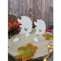Igel Aus Raysin, Herbstdeko, Dekoration, Tischdeko, Igel, Geschenkset von Jennysplotterwelt