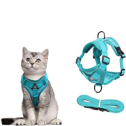 Katzengeschirr mit Leine Ausbruchsicher, Atmungsaktives Katzen Geschirr mit Reflektoren Leine für Hunde und Katzen Sicherheitsgurt für Spaziergänge Adjustierbar & Bequem (Blau, S) von Jennytim