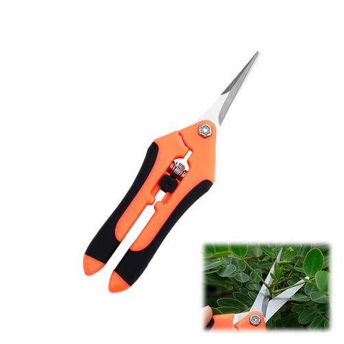 Gartenschere Klein, Professionell Kräuterschere, Ergonomisches Pflanzenschere, Rostfreier Blumenschere, Rosenschere mit Soft Touch Ergo Griff, Grow Zubehör mit Edelstahlklinge, Bonsai Schere (Orange) von Jenshhch