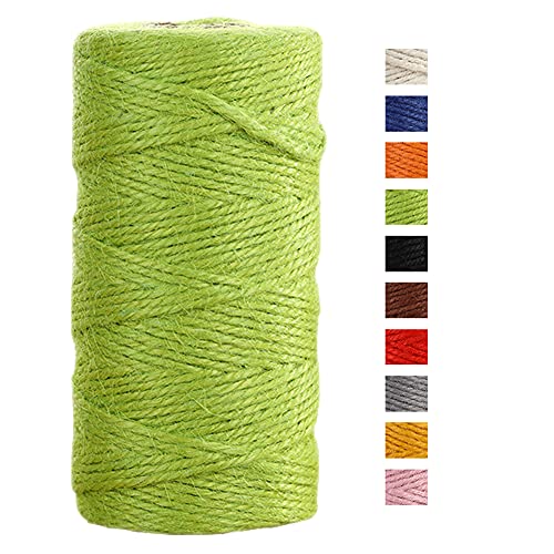 JeogYong Jute-Schnur, 2 mmx100 m, naturfarben, Jute-Schnur, 3-lagig, Gartenschnur, Küchenschnur, dickes Juteseil für Dekoration, Floristik, DIY, Bündelung, Verpacken von Geschenken (Fruchtgrün) von JeogYong