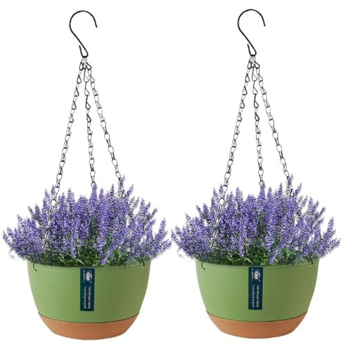 Jeorywoet Hängende Blumentöpfe, hängende Pflanzer 2pcs 8in Selbstbewässerung Topf Beatmte PP -Blütentöpfe mit Entwässerung Hochleistungsabnehmbarer Pflanzentopf für Gartenhof, Pflanze Jeorywoet Hängende Blumentöpfe, hängende Pflanzer 2pcs 8in Selbstbewässerung Topf Beatmte PP -Blütentöpfe mit Entwässerung Hochleistungsabnehmbarer Pflanzentopf für Gartenhof, Pflanze von Jeorywoet