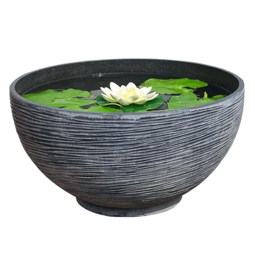 Jeorywoet Lotus Bowl Pflanzer, schwimmender Pflanzentopf, Exquisite große Lotus Bowl -Pflanzer, 14x7x7 runde saftige Wasserlily -Töpfe für Schreibtische, Bankettsäle, Wohnzimmer, Grau Jeorywoet Lotus Bowl Pflanzer, schwimmender Pflanzentopf, Exquisite große Lotus Bowl -Pflanzer, 14x7x7 runde saftige Wasserlily -Töpfe für Schreibtische, Bankettsäle, Wohnzimmer, Grau von Jeorywoet