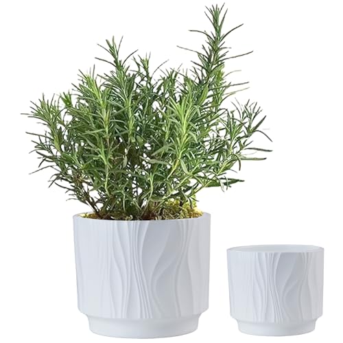Jeorywoet Pflanzer Topf, Keramikpflanztopf mit Kunststoffsaucer weißer Keramik -Pflanzer mit welliger Oberfläche und Entwässerungsloch Minimalist für Innen im Freien im Freien von Jeorywoet