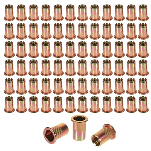 150 Stück Nietmuttern M5 Runde Flachkopf Gewinde Rivet Nutsert Cap Gewindenieten, Verzinkt Einschraubmutter Blindnietmuttern Hülsenmutter für Metallplatten Elektrogeräte von Jeqqinuz