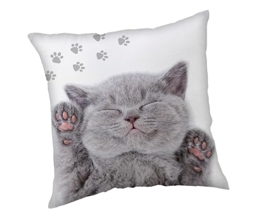 Jerry Fabrics Kissen Kuschelkissen Dekokissen mit Katze 40 x 40 cm von Jerry Fabrics