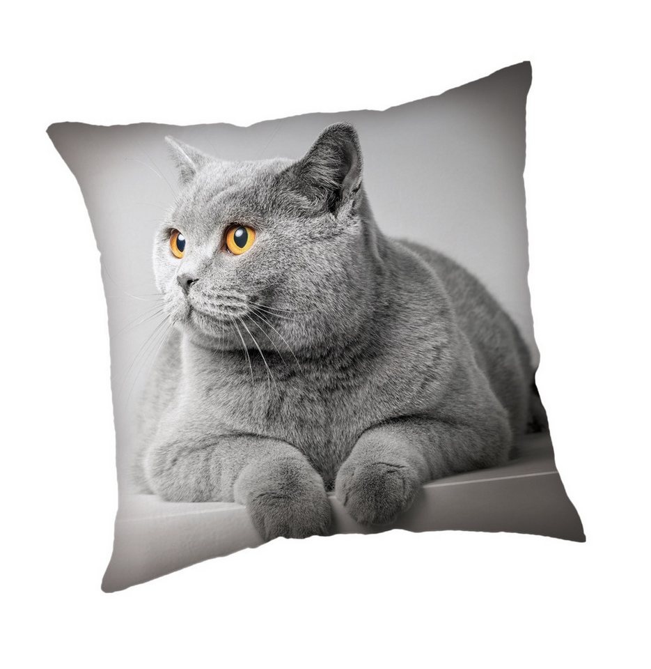 Jerry Fabrics Kissenhülle Grey Cat 45x45 cm Zierkissen Bezug Sofa Couch Polyester Jerry Fabrics Kissenhülle Grey Cat 45x45 cm Zierkissen Bezug Sofa Couch Polyester von Jerry Fabrics