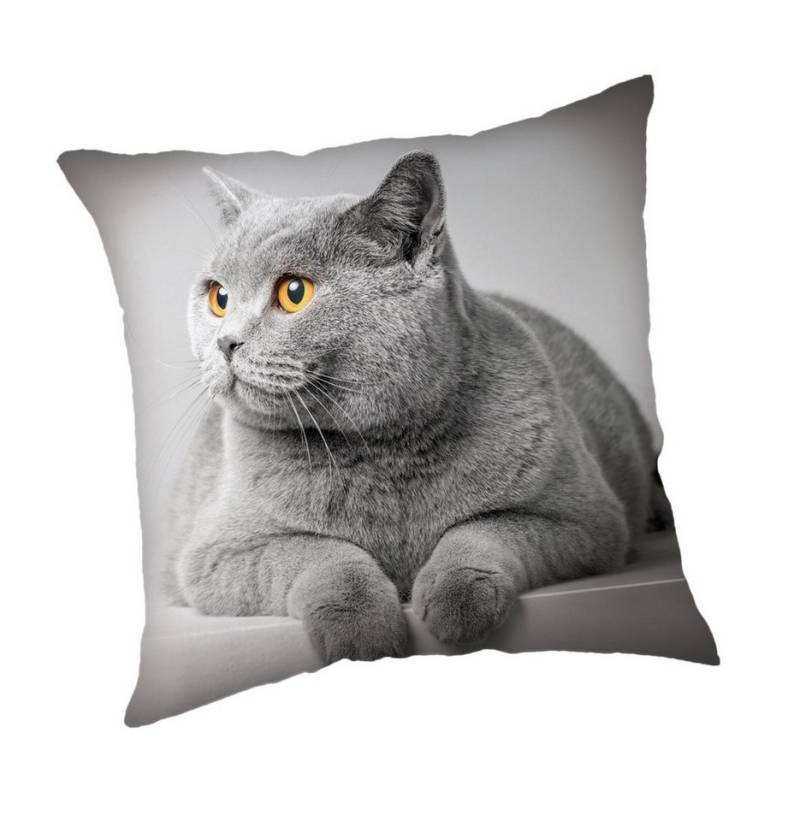 Jerry Fabrics Kissenhülle Grey Cat 45x45 cm Zierkissen Bezug Sofa Couch Polyester von Jerry Fabrics
