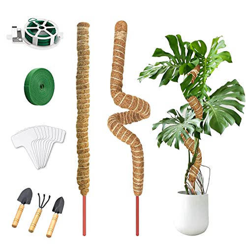 Jesdavan Moosstab, 2 Stück Monstera Rankhilfe, 62cm Rankhilfe Monstera, Moosstab für Monstera, Kokosstab für Pflanzen, mit Zubehör, Moss Pole Geeignet zur Unterstützung des Pflanzenwachstums(Biegbar) von Jesdavan