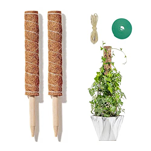 Kokosstab, Moosstab, 2 Stück 40 cm Kokosstab für Pflanzen, Rankhilfe Zimmerpflanzen, Pflanzstab Monstera, mit Schnur und Krawatte Geeignet zur Unterstützung des Pflanzenwachstums von Jesdavan