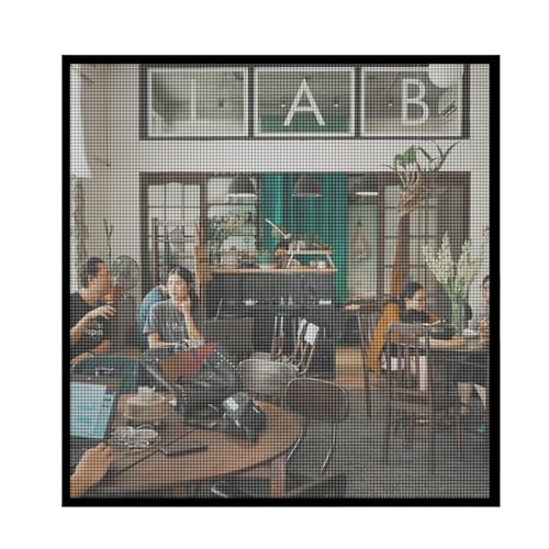 Fliegengitter für Fenster - 90x100cm Insektenschutz mit Klettband selbstklebend - Fliegen Netz ohne Bohren Fliegengitter für Fenster - 90x100cm Insektenschutz mit Klettband selbstklebend - Fliegen Netz ohne Bohren von Jespeed