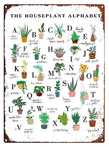 Jessgirl Blechschild Vintage Zimmerpflanze Alphabet Druck Cursiv Blumen Sukkulente Indoor Zimmerpflanze Baum Abc's Kunstdruck Metallschild Metallschilder Outdoor 20,3 x 30,5 cm von Jessgirl