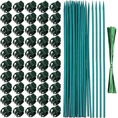 Jetec 50 Stück Orchidee Clips Kunststoff Garten Pflanzenclips mit 30 Stück Grün Bambus Pflanzenpfähle, 30 Stück Metallic Twist Ties zur Unterstützung von Stielen Reben Stiele Wachsen aufrecht (38cm) von Jetec