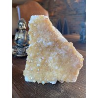 Premium Hochwertige Citrin Druzy 106 Mini Geode Cluster Stück 820G H11xw9, 5xd6cm von JewelCrystalsLtd
