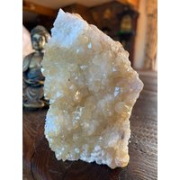Premium Hochwertige Citrin Druzy 120 Mini Geode Cluster Stück 473G H10xw6, 5xd7cm von JewelCrystalsLtd