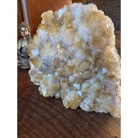 Premium Hochwertige Citrin Druzy 93 Mini Geode Cluster Stück 1.581G H13.5xw17xd7.5cm von JewelCrystalsLtd