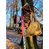 Biothane Halsband Und Leine von JewelsNapfgerecht