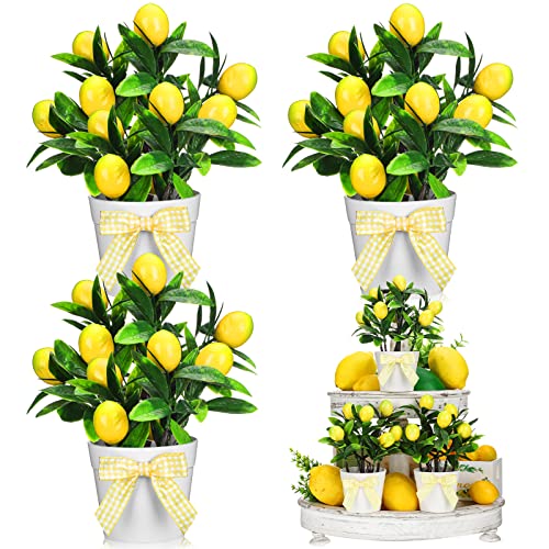 Jexine 3 Set Zitrone Dekor Zitrone Tiered Tablett Dekor Künstliche Zitrone Pflanze Bauernhaus Home Decor Mini Fake Pflanzen Mini Vasen Tiered Tray Greenery Zubehör von Jexine