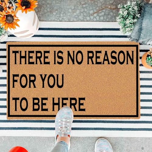 JiXianJu Lustige Fußmatte für Eingangstür, Aufschrift "There is No Reason for You to Be Here", braune Geschenkmatte mit strapazierfähiger, rutschfester Unterseite, langlebige von JiXianJu